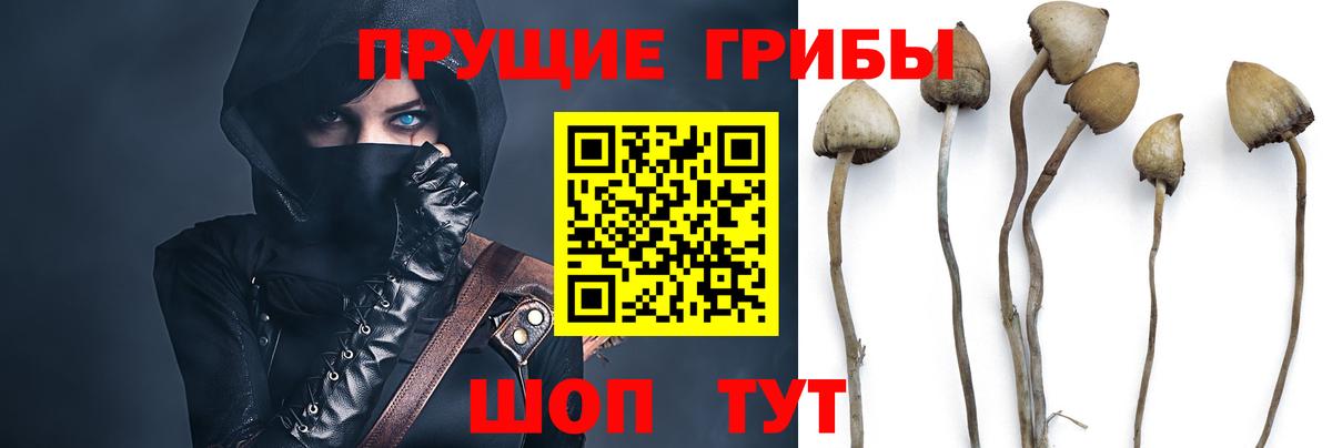 Псилоцибиновые грибы MAGIC MUSHROOMS  Вход с VPN  цена наркотик  Видное 
